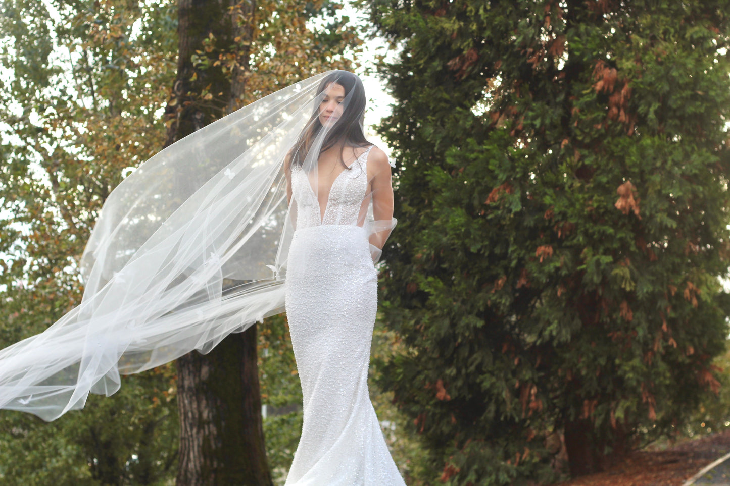 Butterfly Pearl Veil