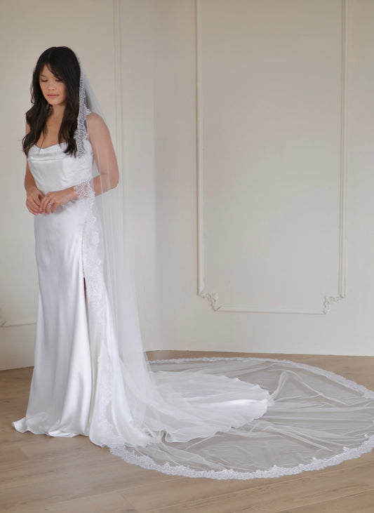 Lace Trimmed English Net Veil